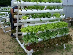 <span class=keywords><strong>Serre</strong></span> à cadre en <span class=keywords><strong>A</strong></span> pour la culture hydroponique de légumes, de laitues et de salades, système de canaux en PVC NFT - Product Image 2
