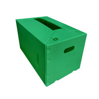 Op Maat Gemaakte Pp Gegolfde Plastic Fruitverpakkingsdoos Pp Plastic Opvouwbare Transportdoos Groente Opbergdoos