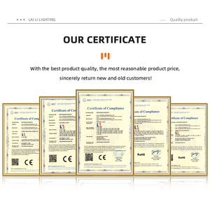 Nhà Máy Bán Hàng Trực Tiếp Mini Từ Theo Dõi LED Ánh Sáng Cho Bảo Tàng Hiển Thị Ánh Sáng Showcase Chiếu Sáng - Product Image 6