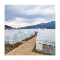 Système hydroponique commercial Serre agricole à tunnel en poly monocouche Serre à travée unique de petite taille