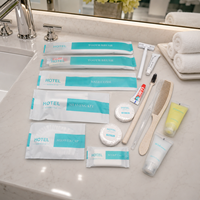 Articles de toilette hôteliers de marque en gros, écologiques, jetables, en paille de blé, pour les voyages des clients et la salle de bain d'accueil