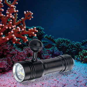 <span class=keywords><strong>Luz</strong></span> <span class=keywords><strong>de</strong></span> Buceo Profesional para Fotografía, Más <span class=keywords><strong>de</strong></span> 1000 Lúmenes, Lámparas <span class=keywords><strong>Ultravioleta</strong></span>, Enfoque Ajustable, Impermeable, para Camping y Buceo - Product Image 5