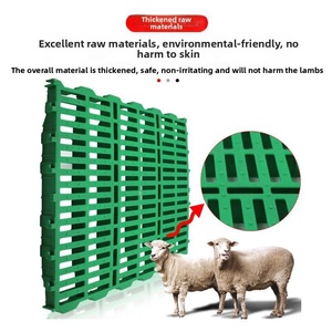 Plancher <span class=keywords><strong>à</strong></span> lattes en plastique robuste pour chèvres et moutons, planche anti-fuite, <span class=keywords><strong>filet</strong></span> de drainage de fumier pour enclos <span class=keywords><strong>à</strong></span> porcs, équipement d'élevage agricole - Product Image 6