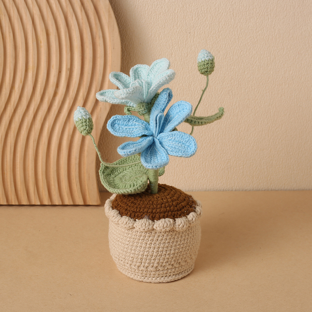 Bonsaï de Tung Cinq Ans, Bleu Neige (Grand Pot Cylindrique en Fil)