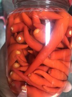 Eingelegte Rote Chili-Paprika in Trommelverpackung Saure Salz-Gemüsekonserven Topseller Tomate Gurke Ananas