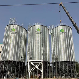 Venta Directa de Fábrica: Silo de Acero Galvanizado de Gran Capacidad (500T-1500T) con Fondo Cónico para Almacenamiento de Granos, Certificado ISO y CE, Larga Duración - Product Image 1