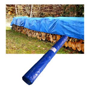 <span class=keywords><strong>Lona</strong></span> <span class=keywords><strong>con</strong></span> <span class=keywords><strong>ojales</strong></span> <span class=keywords><strong>Transparente</strong></span> Tamaño personalizado PE <span class=keywords><strong>Lona</strong></span> impermeable duradera - Product Image 1