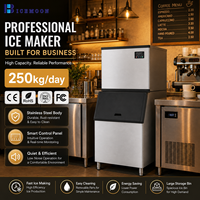 Machine à glaçons pour les chaînes de cafés et salons de thé avec production de glaçons en cubes, alerte de manque d'eau et nettoyage automatique