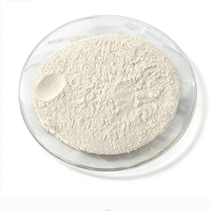 คลอโรซิลีนอล PCMX คุณภาพสูง CAS 88-04-0 - Product Image 1