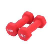 Dumbbell Besi Cor Heksagonal 1 1.5 2 2.5 3 4 kg Berlapis Karet Anti Selip untuk Latihan Harian dari Produsen