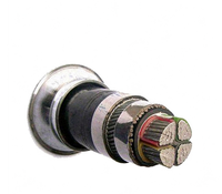 Câble en alliage d'aluminium YJHLV fourni par l'usine, 0,6/1 kV, multiconducteurs, XLPE PVC, câble d'alimentation, fil et câble électriques pour centrale solaire