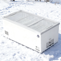 Offre Spéciale d'usine litre différent maison mini réfrigérateur d'aliments frais réfrigérateur congélateur maison réfrigérateurs hôtel mini réfrigérateur
