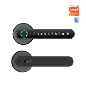 Factory Price Biometric Finger Print <strong>Door</strong> Lock Apartment Home Room Security Keyless Lock App Smart <strong>Door</strong> Lock - Product Image 1