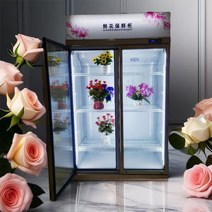 Exhibidor Refrigerado para Flores de China Refrigeradores para Flores Enfriadores Profesionales para Flores - Product Image 5