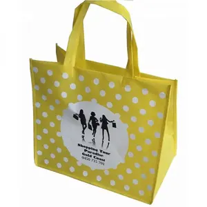 Recyclable Fabric Shopping Bag Wholesale Promotional Pp Non Woven Manufacturers Tnt Bags