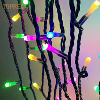 Toprex Étanche Led Télécommande Haute Qualité Multicolore Extérieur Lumières De Noël Musique Rgb Dmx Contrôle Led Guirlandes Lumineuses