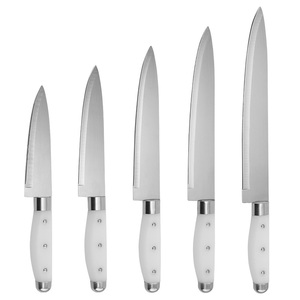 Bán buôn thép không gỉ Kích thước khác nhau 5 cái Bếp Knife Set với nhựa màu trắng xử lý butcher dao - Product Image 1