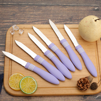 Ensemble de 6 couteaux à éplucher en acier inoxydable avec manche en plastique, éplucheur de fruits, emballage en boîte colorée, outil de cuisine pour la maison et les restaurants