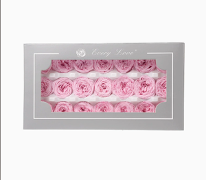 Cabezas de <span class=keywords><strong>Rosa</strong></span> Austin Naturales Preservadas, Rojas, de 2-3 cm de Diámetro, para Decoración del Día de San Valentín, DIY 2026 - Product Image 2