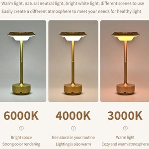 3 Colors Metal Desktop Decoration <b>Table</b> Lamp Touch Bedside Lamp Rechargeable Night Light Hotel Bar Restaurant Decoration - Product Image 3