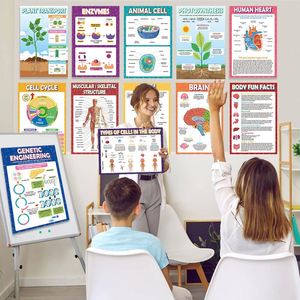 18 Affiches de Sciences Biologiques en Papier Imperméable pour la Classe de Collège/Lycée – Matériel Pédagogique pour Étudiants - Product Image 3