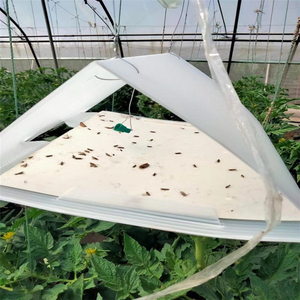 Piège à insectes durable en forme de delta avec plaque collante puissante pour la lutte antiparasitaire - Product Image 4