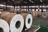Polvo Concentrado Limpiador de Bobinas de Aire Acondicionado con Fórmula Segura para Aluminio