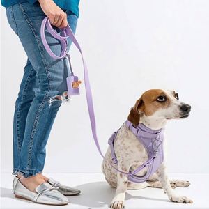 Arnés para Perro Reversible Premium, Ajustable e Impermeable, de Fábrica BSCI, Venta al Por Mayor, Collar para Mascotas - Product Image 2