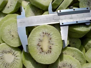 Frozen Kiwi Fruit Wholesalers Price For Sale