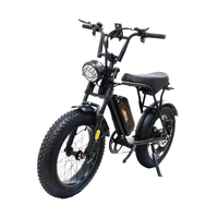 Vélo de montagne à pneus larges de 20 pouces, batterie au lithium 48V 500W 750W, acier central, étanche, pour adultes, fabrication de haute qualité