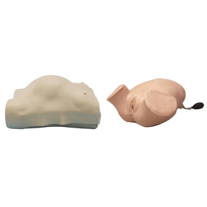 ADA medico avanzato elettronico donne incinte esame manichino e leopardo manovre anale e simulatore di esame vaginale - Product Image 1