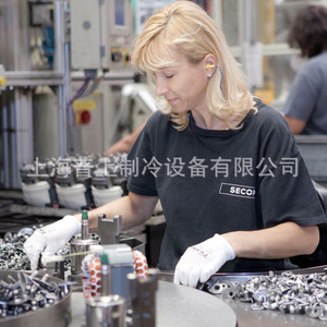 คอมเพรสเซอร์ทำความเย็น Secop รุ่น SC15CNX 2 แบบระบายความร้อนด้วยอากาศ ใช้ไฟ AC สำหรับอุตสาหกรรม - Product Image 4