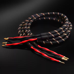 Kabel <span class=keywords><strong>Monster</strong></span> Audio demam HIFI tembaga kristal tunggal M2.4S koneksi kepala pisang Universal untuk Amplifier AV mobil koil 3.5mm - Product Image 3