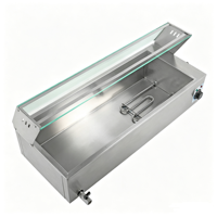 Chauffe-Plats Électrique de Comptoir avec Mode Économie d'Énergie, Bain-Marie Chauffant pour Buffet