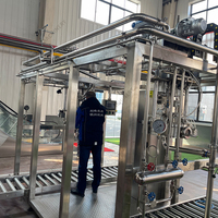 Kant-En-Klare Oplossing Voor Mango/Ananas/Passievrucht/Guave/Kokosvruchtenpulp Die Machine Voor Het Vullen Van Aseptische Zakken Maakt