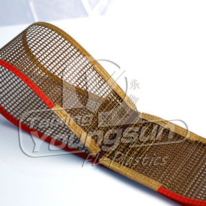 Màu Nâu Dyrying Máy PTFE Tráng Sợi Thủy Tinh Mở Lưới PTFE Băng Tải Vành Đai - Product Image 2