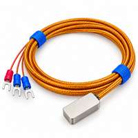 Sonde de température magnétique à montage en surface Pt100, tête de détection de température à adsorption par contact frontal, indice de protection IP65, résolution 0,5°C