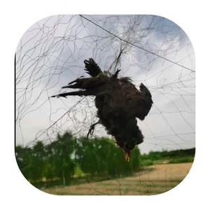 <span class=keywords><strong>Red</strong></span> <span class=keywords><strong>de</strong></span> Trampa para Pájaros Dahuka <span class=keywords><strong>de</strong></span> 15x15 mm <span class=keywords><strong>con</strong></span> Bolsillos, 3x12 Metros - Product Image 5