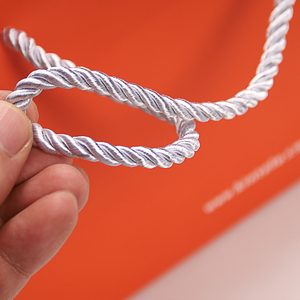 <span class=keywords><strong>2025</strong></span> nóng bán cam túi giấy quà tặng bao bì Xoắn xử lý túi giấy với logo công ty cho kinh doanh quần áo - Product Image 4