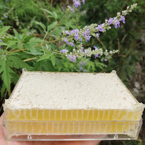 Panal de Miel Crudo Comestible Great Bazaar, Panal de Miel Puro Natural de Primavera, 100% Natural, Sin Aditivos, Sin Conservantes - Product Image 4