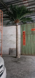 Palma <span class=keywords><strong>da</strong></span> datteri palma artificiale alta simulazione decorazione esterna grande albero artificiale all'aperto piante artificiali all'aperto - Product Image 3