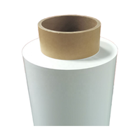 Hydrergy baterai Lithium lapisan elektrolit padat | PVDF + bahan LLZTO Model hibrida polimer/polimer CXCPE30
