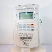 Medidor de Agua Ultrasónico Prepago con Teclado de Latón IP68, Token STS, CIU Dividido, Software de Prepago Inteligente Encriptado para Venta, OEM