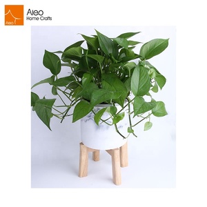 Decoración de jardín polyresin mármol maceta macetas con <span class=keywords><strong>estante</strong></span> de madera <span class=keywords><strong>para</strong></span> plantas suculentas - Product Image 4