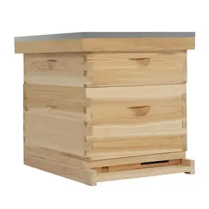 Imkerei ausrüstung Holz 10 Rahmen/8 Rahmen Langs troth Bienenstock/Bienenstock Box zum Verkauf