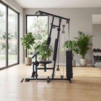 MaiBu Fit Station de musculation complète unisexe multi-usages en acier inoxydable, réglable, 2-en-1, design portable