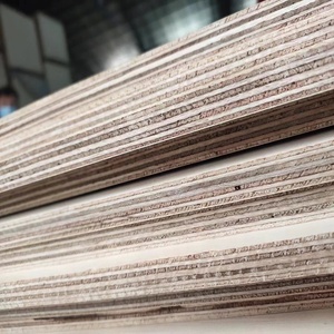 Precio competitivo, contrachapado laminado <span class=keywords><strong>de</strong></span> alta presión, lámina <span class=keywords><strong>de</strong></span> <span class=keywords><strong>Formica</strong></span>, tablero <span class=keywords><strong>de</strong></span> tamaños, lámina laminada Hpl, tablero <span class=keywords><strong>de</strong></span> lámina <span class=keywords><strong>de</strong></span> 18mm - Product Image 6