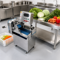Sla-kool-groente snijmachine van roestvrij staal, groenteblad snijmachine voor groenteverwerking