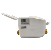 Compteur d'eau ultrasonique prépayé en laiton avec connectivité LoRaWAN - Protection IP68, personnalisable OEM, autonomie de la batterie au lithium de 10 ans