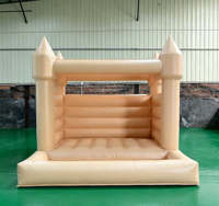 Toboggan aquatique gonflable directement de l'usine, en bâche PVC durable, pour parcs d'attractions et fêtes en extérieur, OEM ODM disponibles